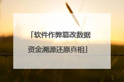 软件作弊篡改数据 资金溯源还原真相