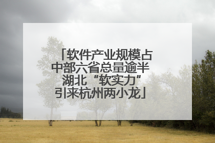 软件产业规模占中部六省总量逾半 湖北“软实力”引来杭州两小龙