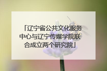 辽宁省公共文化服务中心与辽宁传媒学院联合成立两个研究院