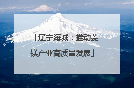 辽宁海城：推动菱镁产业高质量发展