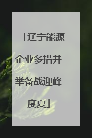 辽宁能源企业多措并举备战迎峰度夏