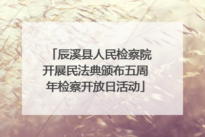 辰溪县人民检察院开展民法典颁布五周年检察开放日活动