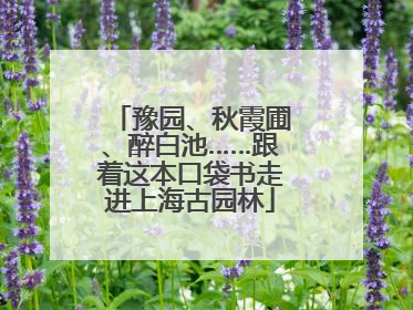 豫园、秋霞圃、醉白池……跟着这本口袋书走进上海古园林