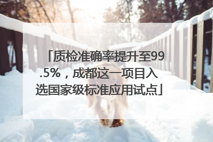 质检准确率提升至99.5%，成都这一项目入选国家级标准应用试点