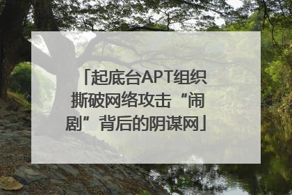 起底台APT组织 撕破网络攻击“闹剧”背后的阴谋网