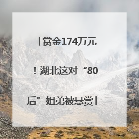 赏金174万元！湖北这对“80后”姐弟被悬赏