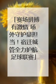 赛场拼搏有激情 场外守护显担当！宿迁城管全力护航足球联赛