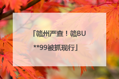 赣州严查！赣BU**99被抓现行