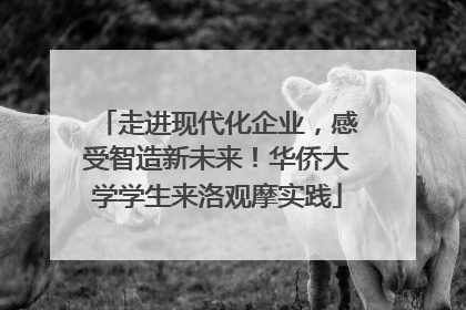 走进现代化企业，感受智造新未来！华侨大学学生来洛观摩实践