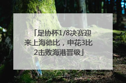足协杯1/8决赛迎来上海德比，申花3比2击败海港晋级