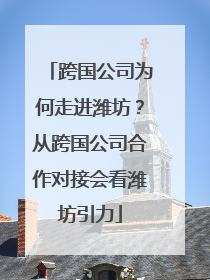 跨国公司为何走进潍坊？从跨国公司合作对接会看潍坊引力