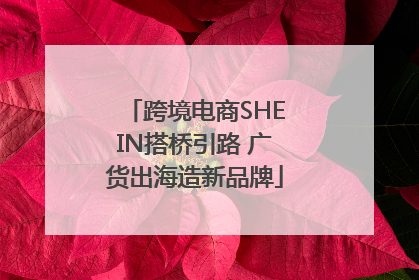 跨境电商SHEIN搭桥引路 广货出海造新品牌