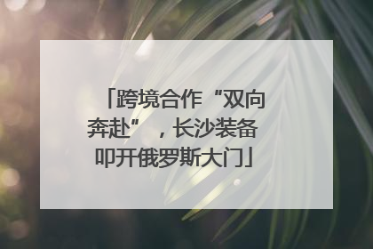 跨境合作“双向奔赴”，长沙装备叩开俄罗斯大门
