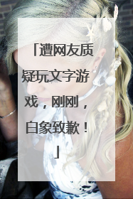 遭网友质疑玩文字游戏，刚刚，白象致歉！