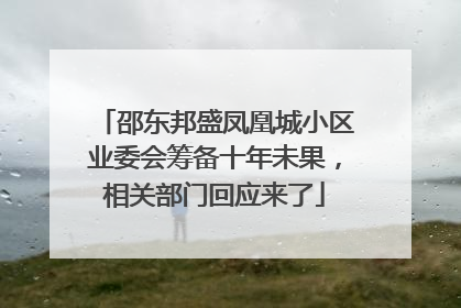 邵东邦盛凤凰城小区业委会筹备十年未果，相关部门回应来了