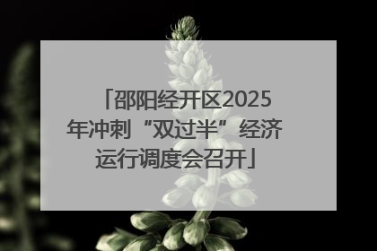 邵阳经开区2025年冲刺“双过半”经济运行调度会召开