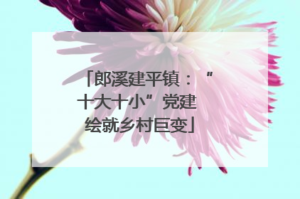 郎溪建平镇：“十大十小”党建 绘就乡村巨变