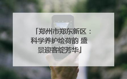 郑州市郑东新区：科学养护绘荷韵 盛景迎客绽芳华
