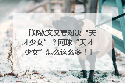 郑钦文又要对决“天才少女”？网球“天才少女”怎么这么多！