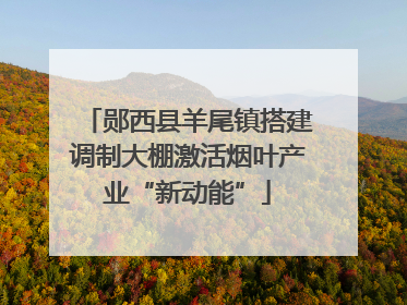 郧西县羊尾镇搭建调制大棚激活烟叶产业“新动能”