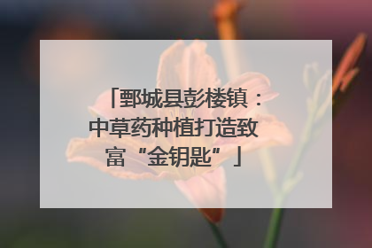 鄄城县彭楼镇：中草药种植打造致富“金钥匙”
