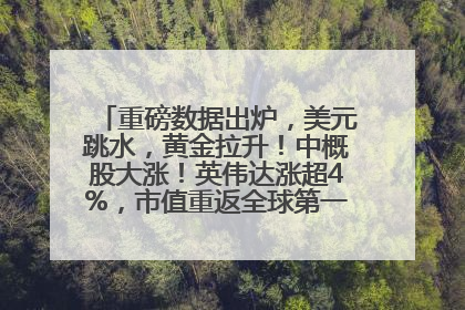 重磅数据出炉，美元跳水，黄金拉升！中概股大涨！英伟达涨超4%，市值重返全球第一！黄仁勋计划出售至多600万股股票