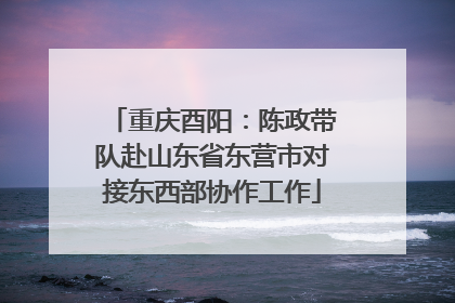 重庆酉阳：陈政带队赴山东省东营市对接东西部协作工作