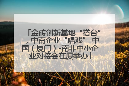 金砖创新基地“搭台”，中南企业“唱戏” 中国（厦门）-南非中小企业对接会在厦举办