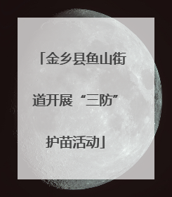 金乡县鱼山街道开展“三防”护苗活动
