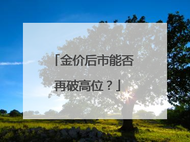 金价后市能否再破高位？
