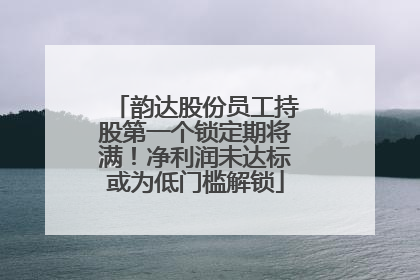 韵达股份员工持股第一个锁定期将满！净利润未达标或为低门槛解锁