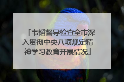 韦韬督导检查全市深入贯彻中央八项规定精神学习教育开展情况