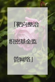 靶向整治织密基金监管网络