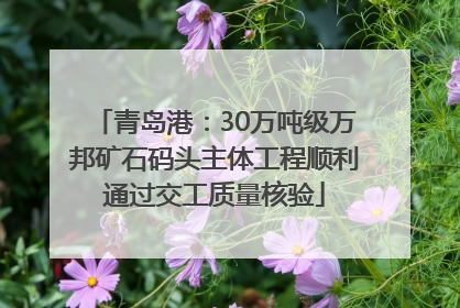青岛港：30万吨级万邦矿石码头主体工程顺利通过交工质量核验