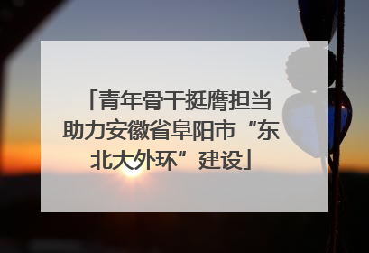 青年骨干挺膺担当 助力安徽省阜阳市“东北大外环”建设