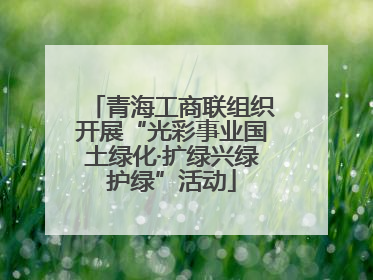 青海工商联组织开展“光彩事业国土绿化·扩绿兴绿护绿”活动