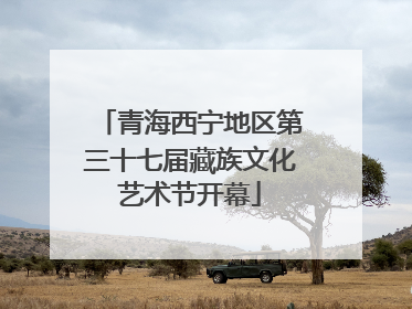 青海西宁地区第三十七届藏族文化艺术节开幕
