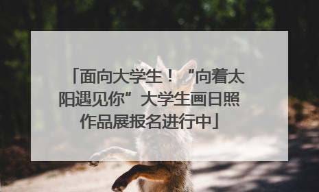 面向大学生！“向着太阳遇见你”大学生画日照作品展报名进行中