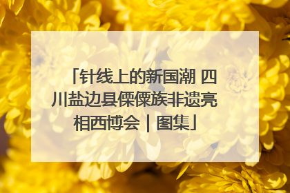 针线上的新国潮 四川盐边县傈僳族非遗亮相西博会|图集