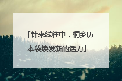 针来线往中，桐乡历本袋焕发新的活力