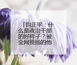 钧正平：什么是政治干部的好样子？被全网赞扬的他，用行动作出了回答