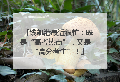 钱凯港最近很忙：既是“高考热点”，又是“高分考生”！