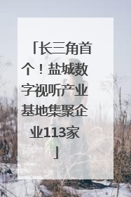 长三角首个！盐城数字视听产业基地集聚企业113家