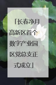 长春净月高新区首个数字产业园区党总支正式成立