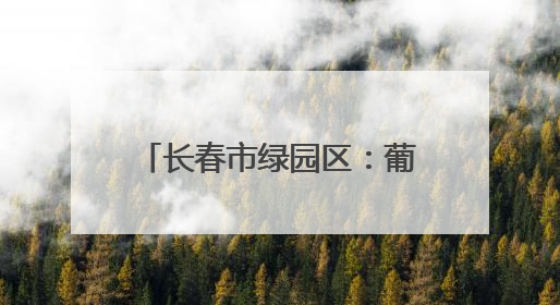 长春市绿园区：葡萄园里绿意浓 “紫色经济”焕新枝