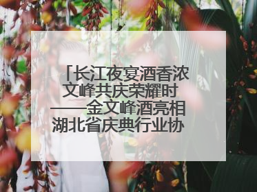 长江夜宴酒香浓 文峰共庆荣耀时——金文峰酒亮相湖北省庆典行业协会十周年盛典