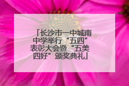 长沙市一中城南中学举行“五四”表彰大会暨“五美四好”颁奖典礼