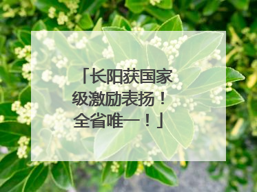 长阳获国家级激励表扬！全省唯一！