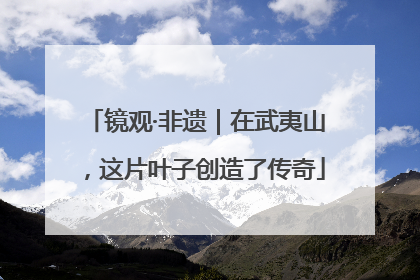 镜观·非遗｜在武夷山，这片叶子创造了传奇