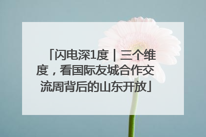 闪电深1度｜三个维度，看国际友城合作交流周背后的山东开放